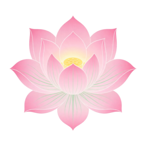 玲珑网